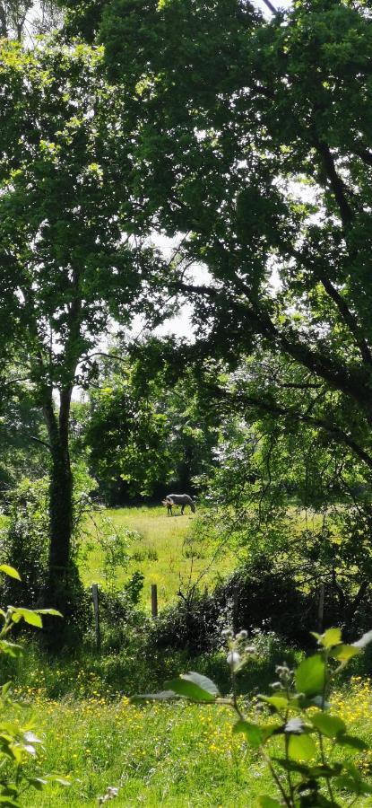 Camping De La Chagnee Saint-Aubin-le-Cloud Dış mekan fotoğraf