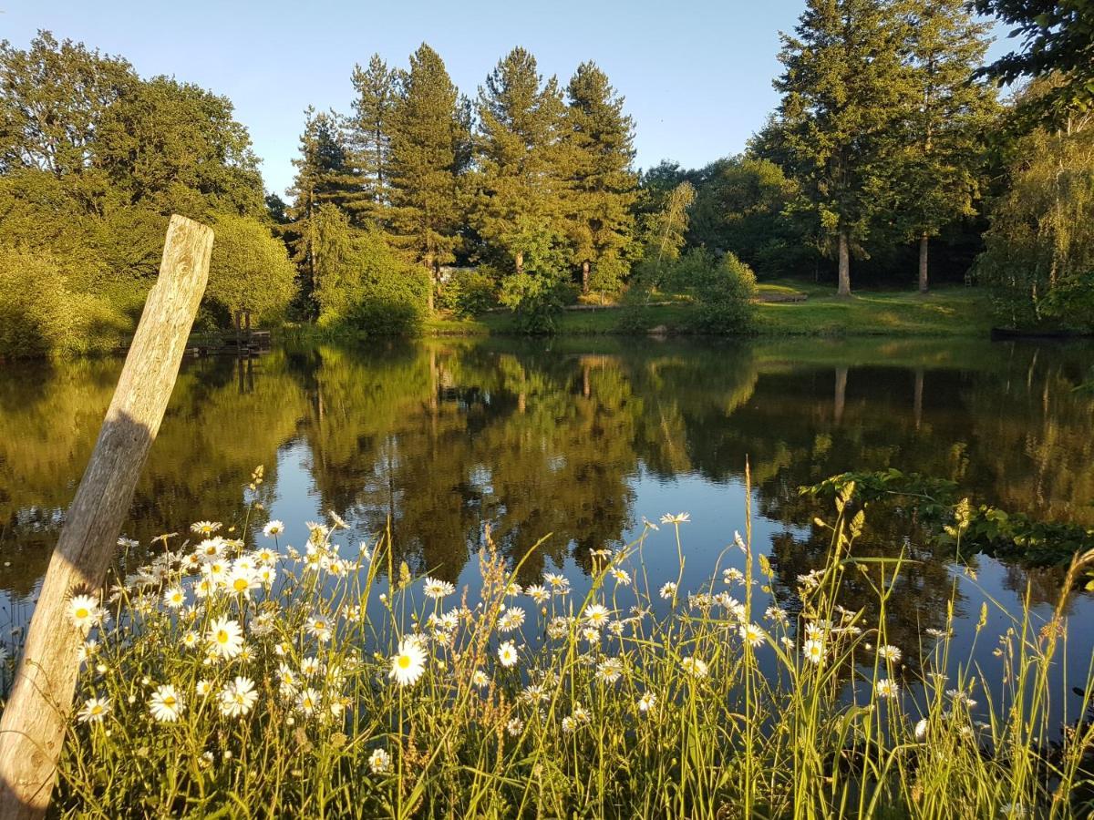 Camping De La Chagnee Saint-Aubin-le-Cloud Dış mekan fotoğraf